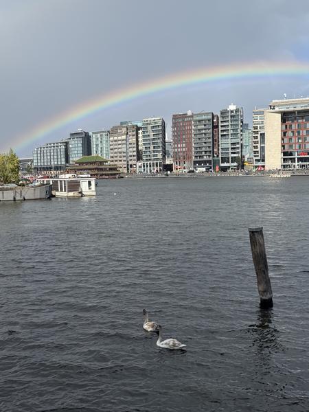 A vibrant rainbow arches over the modern city skyline of Oosterdok, Rapenburg, Amsterdam, casting a colorful glow on the otherwise grey sky